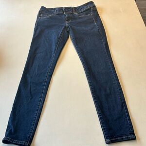 American Eagle Stretch Skinny Denim Jean, Size M